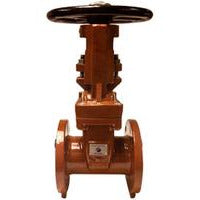 2-1/2 Ductile Iron Flanged x Flanged Gate Valve New York City Outside Screw & Yoke